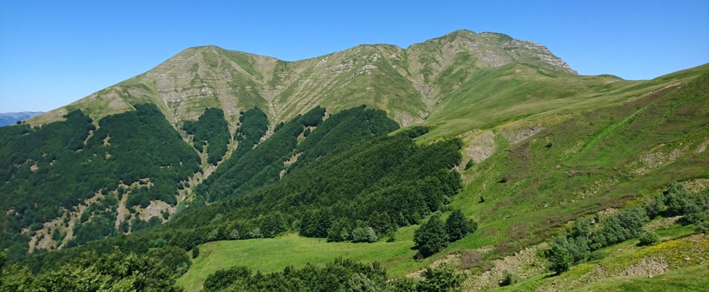 Escursioni in montagna